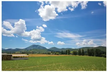 Location Villa à Umbertide 16 personnes
