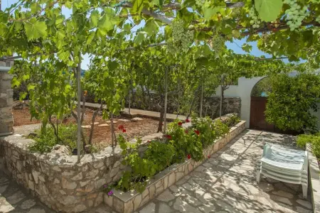 Location Maison à Vela Luka 6 personnes