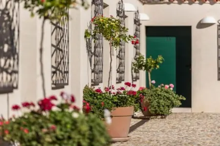 Location Maison à Pakoštane 2 personnes