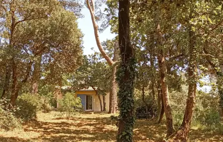 Location Maison à Besse sur Issole 3 personnes