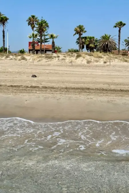 Location Maison à El Grao 12 personnes