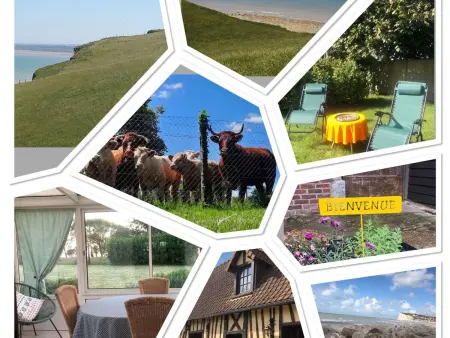 Location Maison à Eu 7 personnes