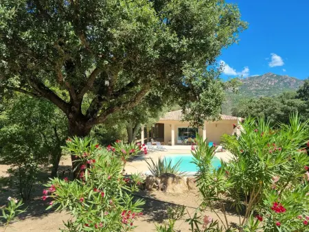 Location Maison à Porto Vecchio 4 personnes