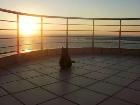 Location Maison à Evangelismos 9 personnes