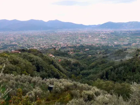 Location Maison à Capannori 8 personnes