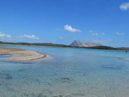 Location Maison à San Teodoro 9 personnes