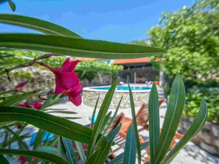 Location Maison à Crikvenica Barci 6 personnes