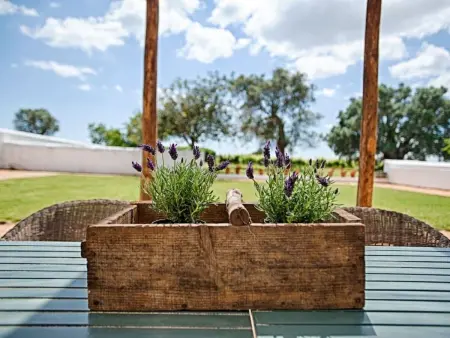 Location Maison à Silves 11 personnes