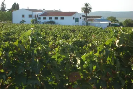 Location Maison à Moriles 9 personnes