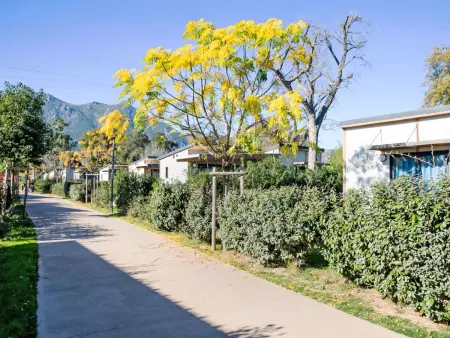 Location Maison à Santa Maria Poggio 5 personnes