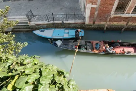 Location Maison à Venecia 5 personnes