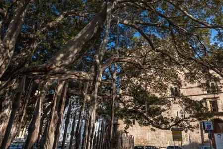 Location Maison à Palermo 4 personnes