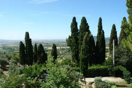 Location Villa à Suvereto   (LI) 6 personnes