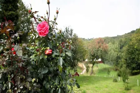 Location Maison à Karlovac 2 personnes