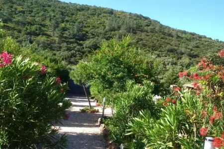 Location Gîte à Sao bartolomeu de messines  Algarve 4 personnes