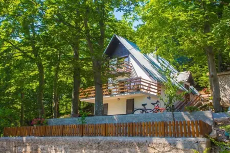 Location Maison à Zlobin 6 personnes
