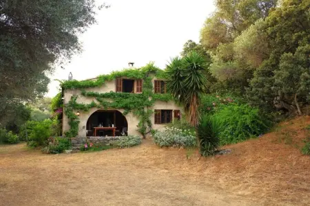 Location Maison à Aregno 6 personnes