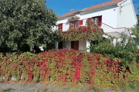 Location Maison à Sibenik Bilice 8 personnes