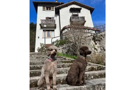 Location Maison à Pieve 10 personnes