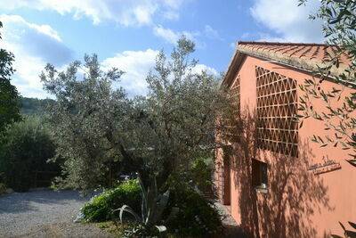 Location Maison à Castagneto Carducci 4 personnes, Livourne