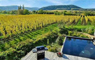 Location Maison à Mittelbergheim 8 personnes, Alsace