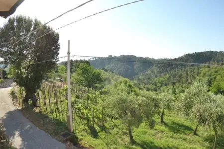 Location Gîte à Massarosa 4 personnes