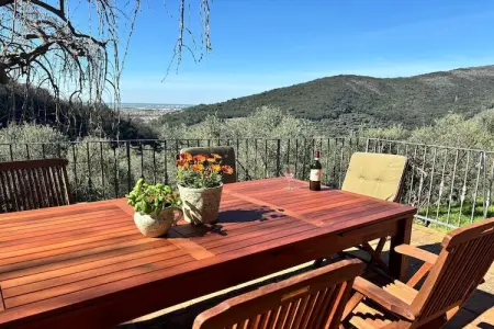 Location Maison à Vicopisano 9 personnes