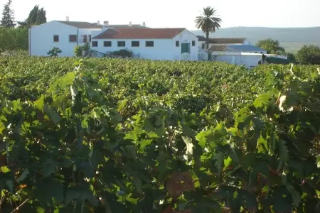 Location Maison à Moriles 17 personnes