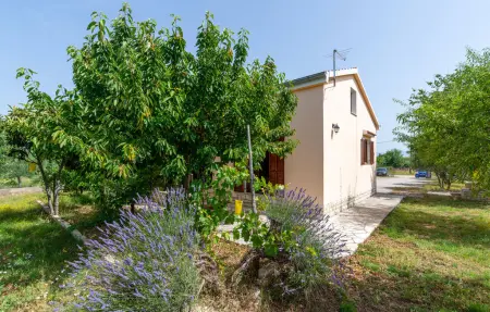 Location Maison à Pridraga 4 personnes