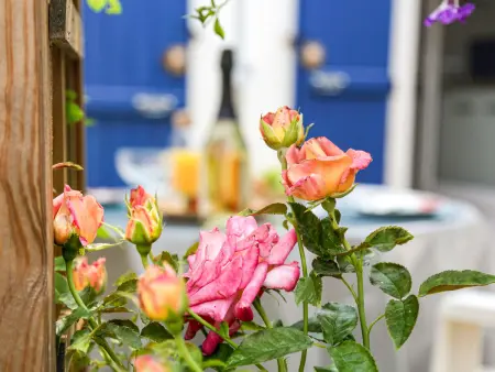 Location Maison à Pornic 2 personnes