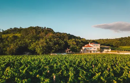 Location Maison à Buje 9 personnes